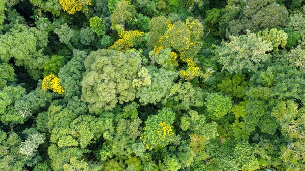 Fabrication d'éventail en tissu : guide complet pour débutants