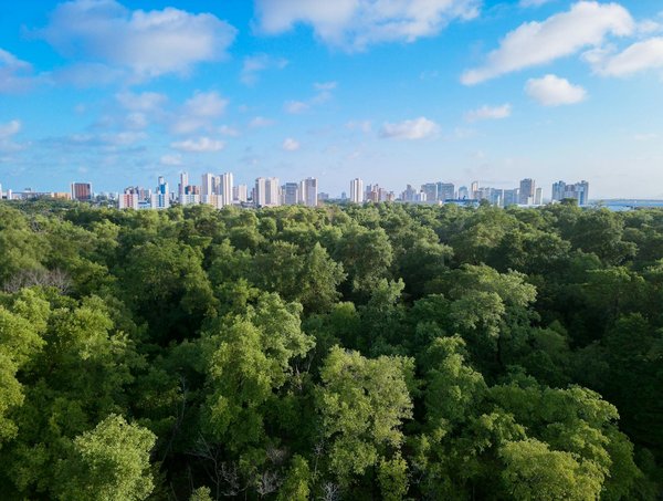 Comprendre le pied égyptien et le pied grec égyptien : l'explication