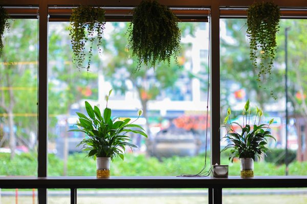 Quand visiter tahiti, un petit coin de paradis dans le pacifique