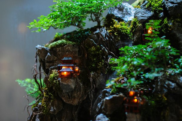 Découvrez le meilleur telescope debutant en 2024